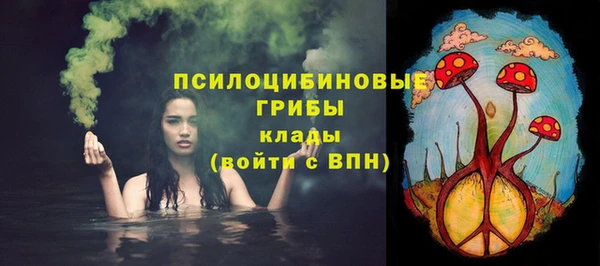 мдпв Рославль
