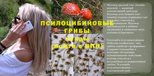 mdpv Алексеевка