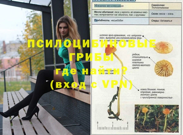 хмурый Ростов