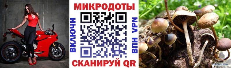 дарк нет официальный сайт  Орлов  Галлюциногенные грибы Cubensis  mega как зайти 